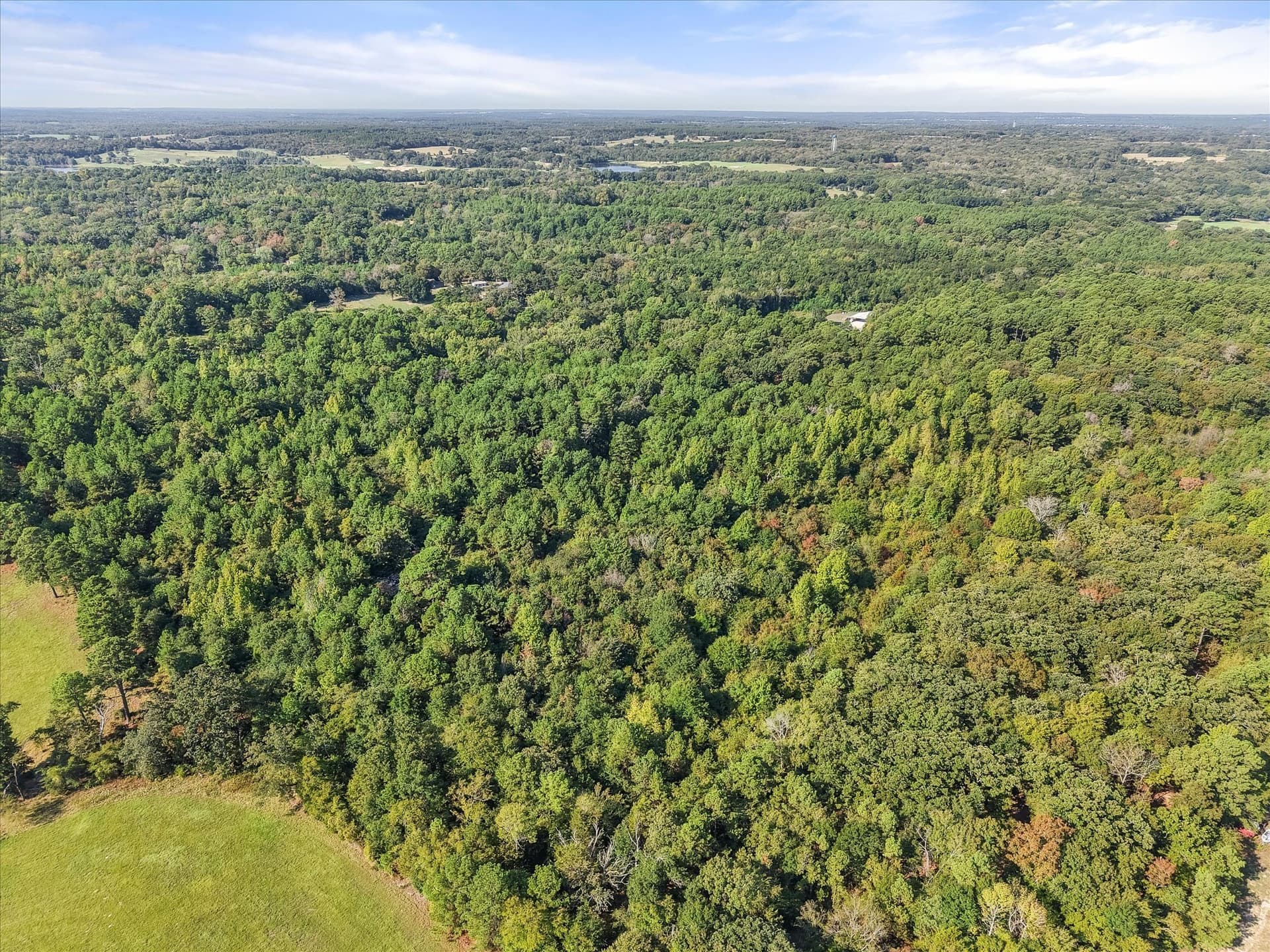 20.13 acres in Henderson County - photo 21