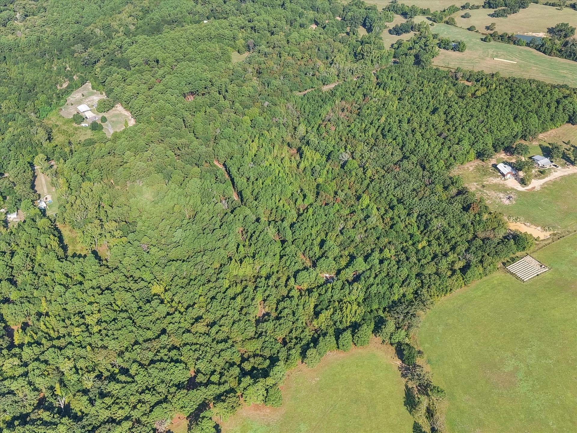 20.13 acres in Henderson County - photo 13