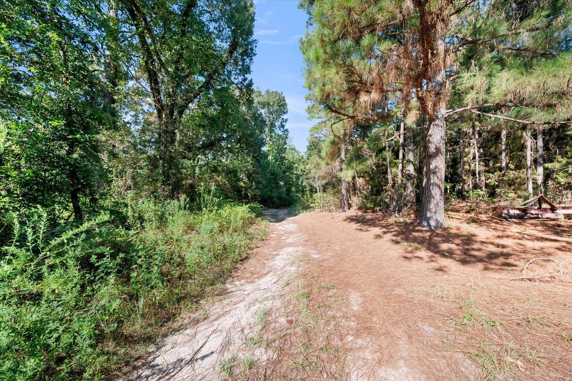 20.13 acres in Henderson County - photo 7