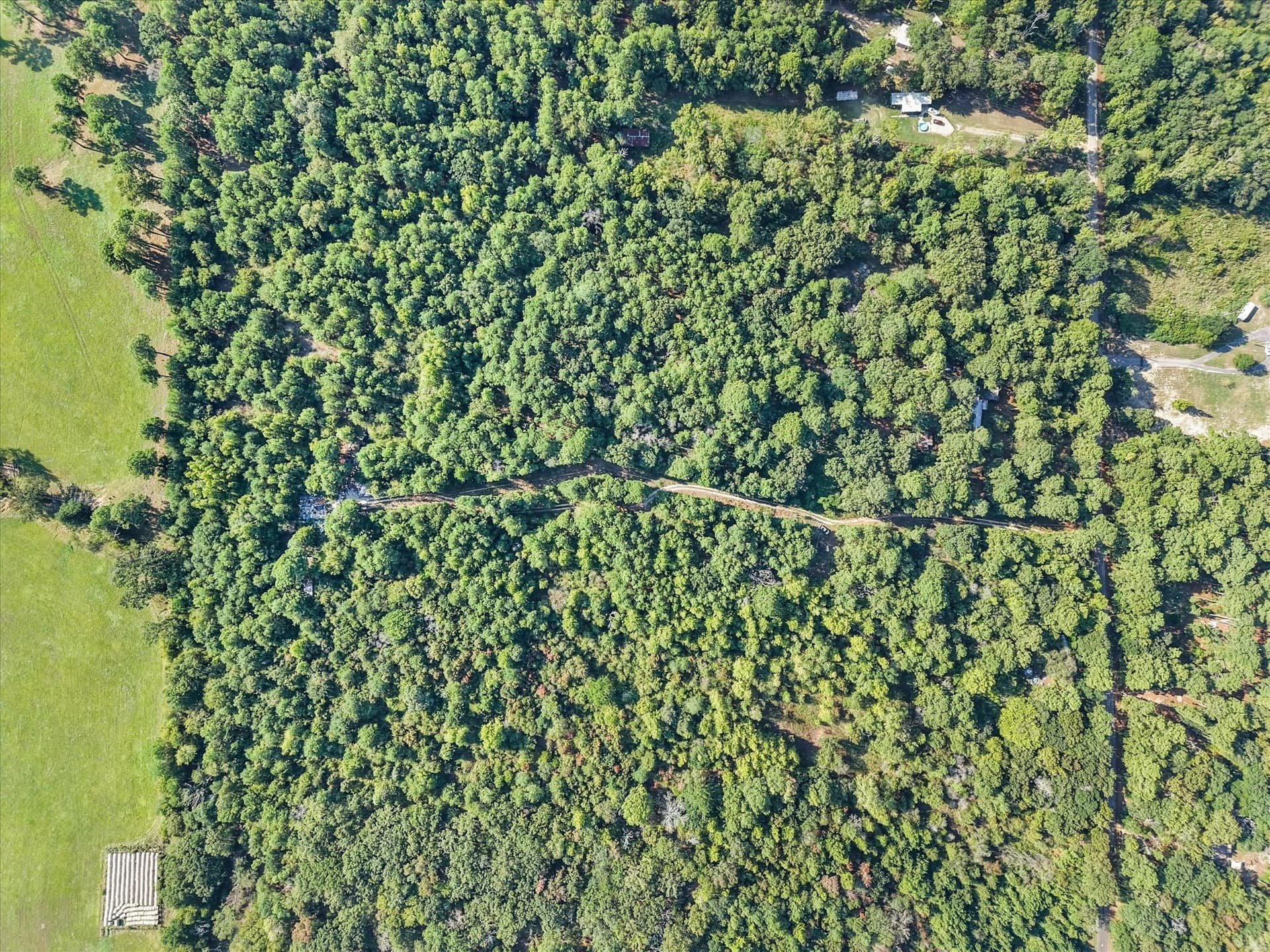 20.13 acres in Henderson County - photo 14