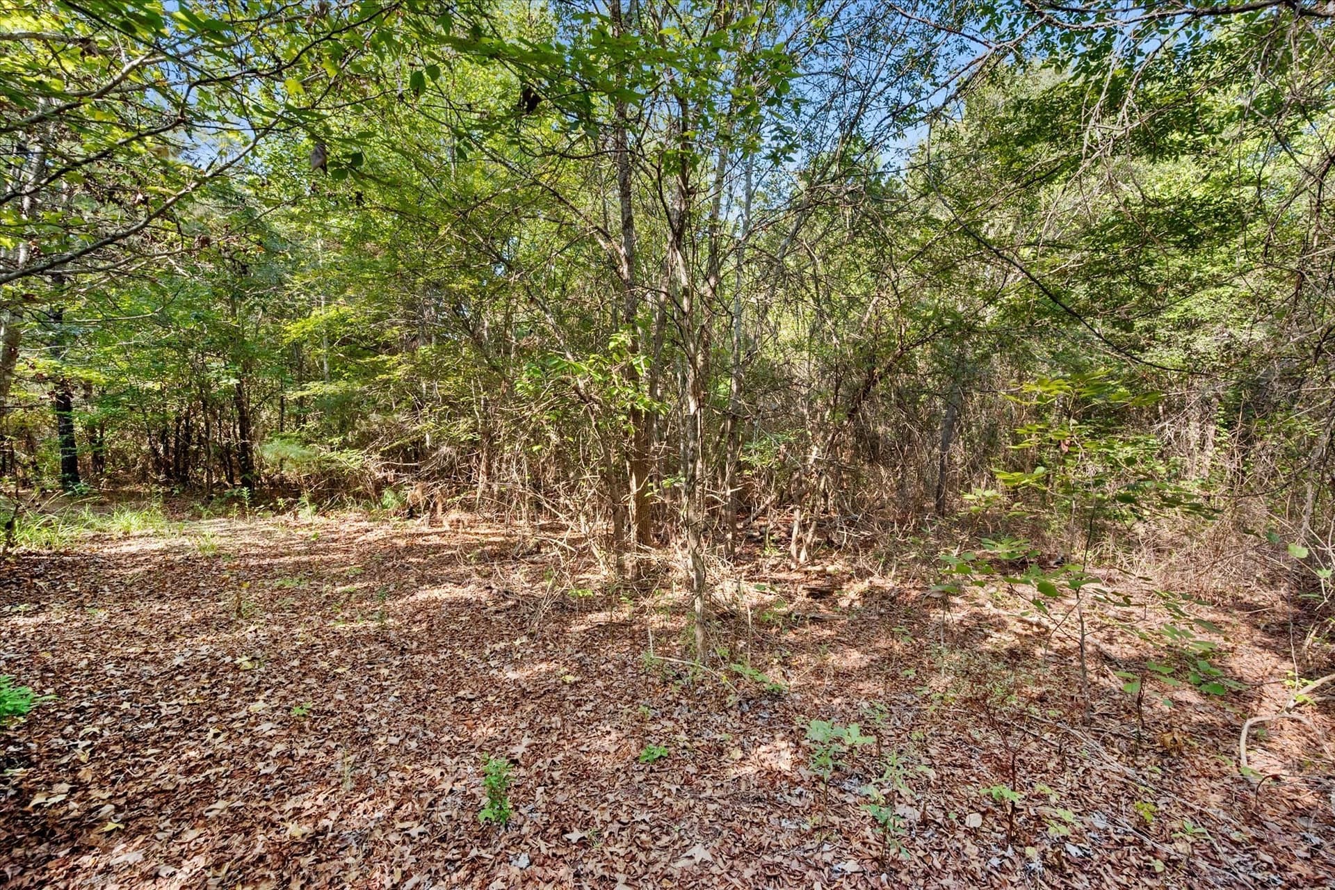 20.13 acres in Henderson County - photo 32