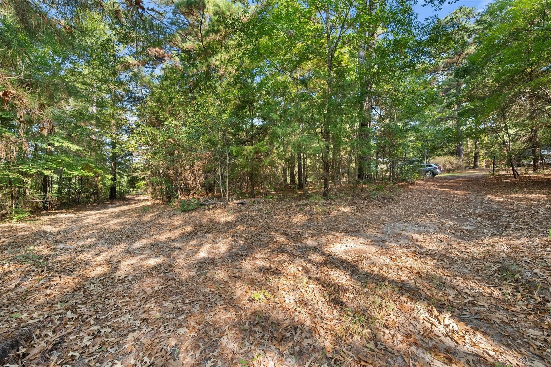 20.13 acres in Henderson County - photo 23