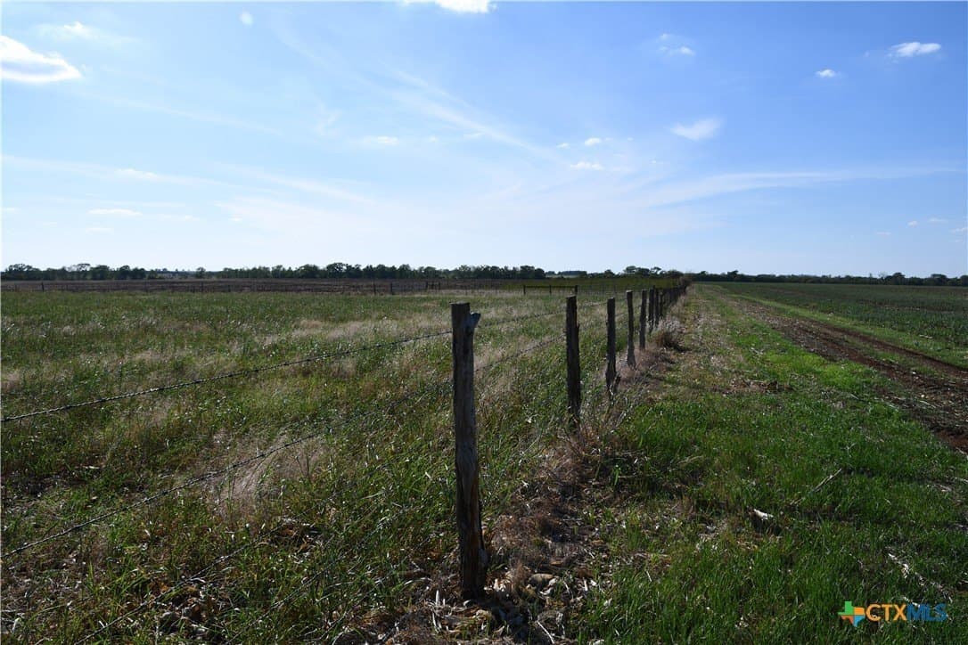 20 acres in Coryell County gallery image 2