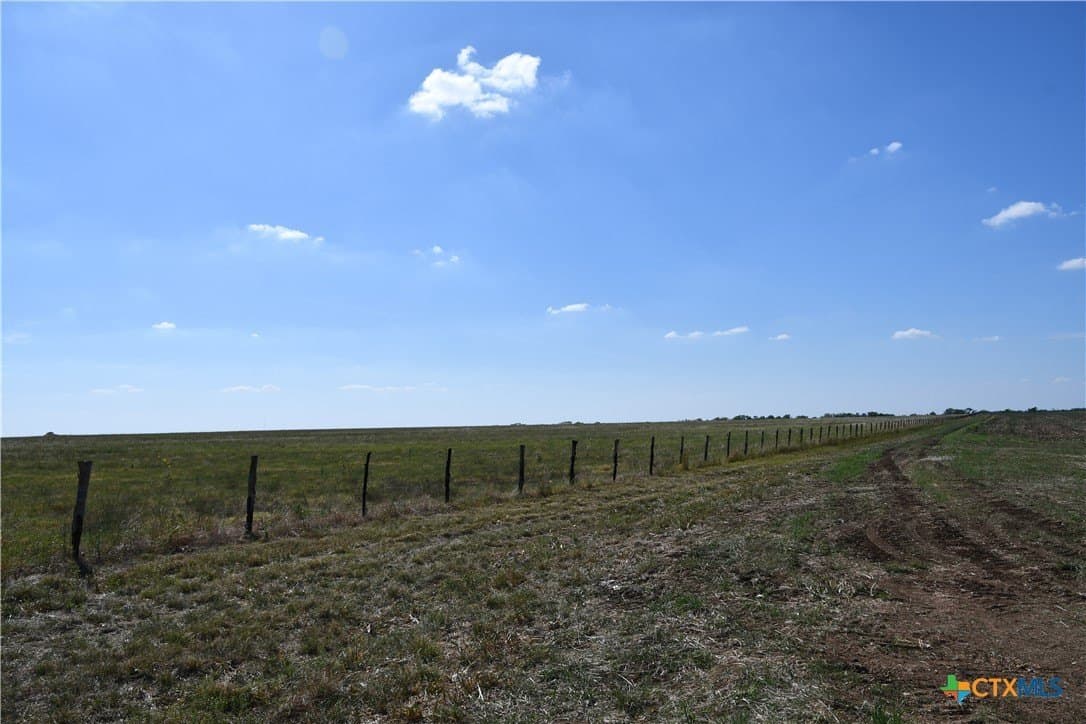20 acres in Coryell County gallery image 3