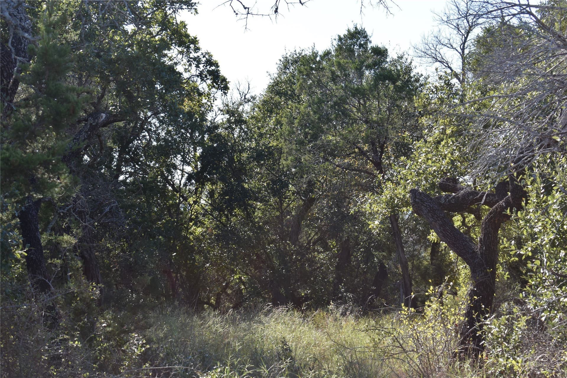 0.43 acres in Johnson County - photo 9