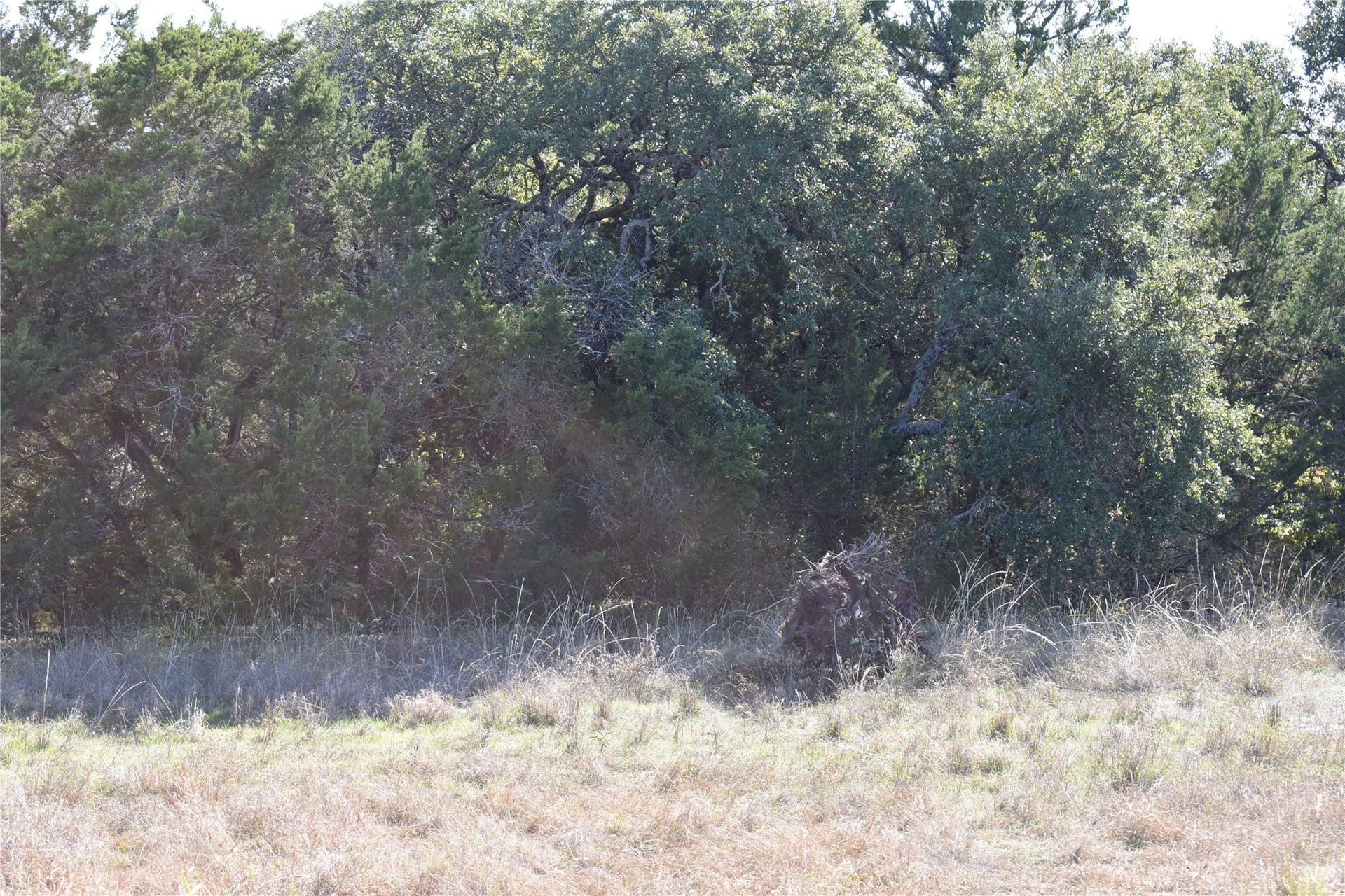 0.43 acres in Johnson County - photo 7