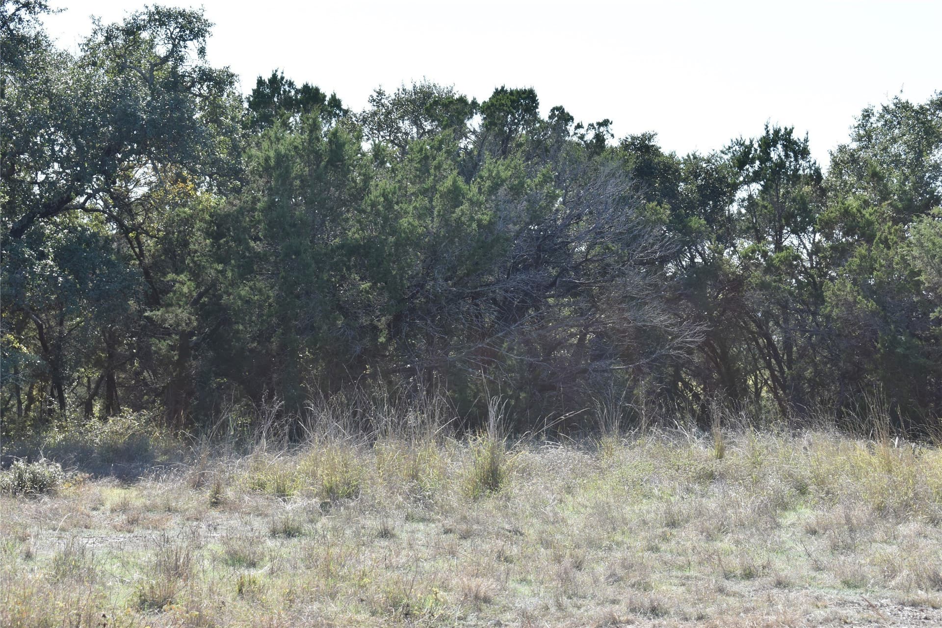 0.43 acres in Johnson County - photo 6