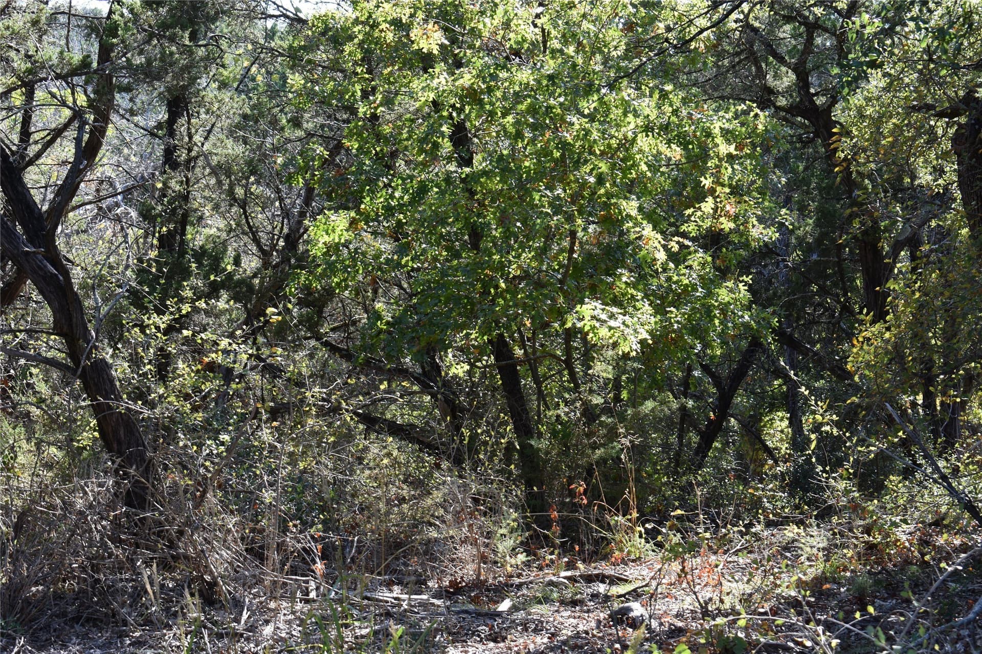 0.43 acres in Johnson County featured view