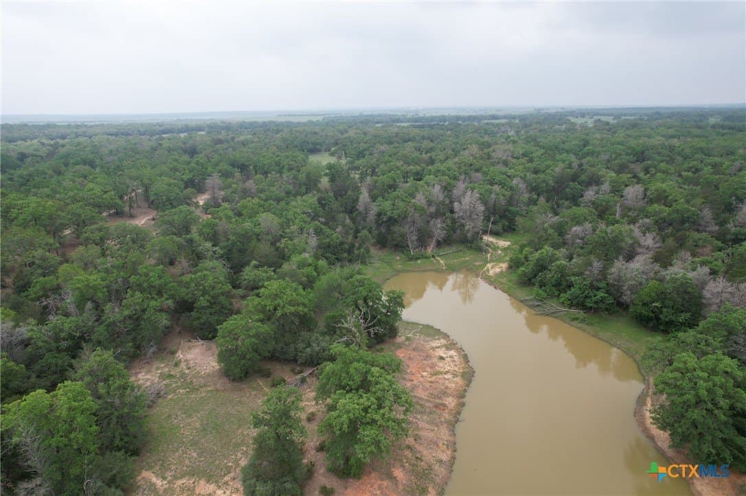 169.72 acres in Milam County gallery image 4