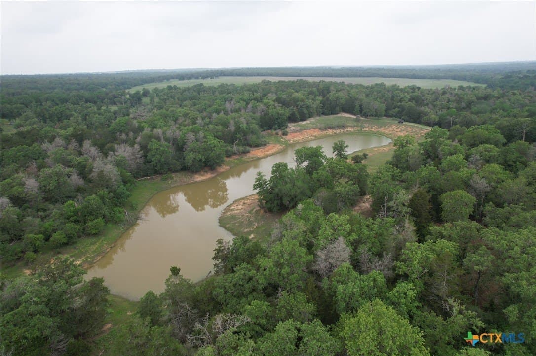 169.72 acres in Milam County gallery image 2