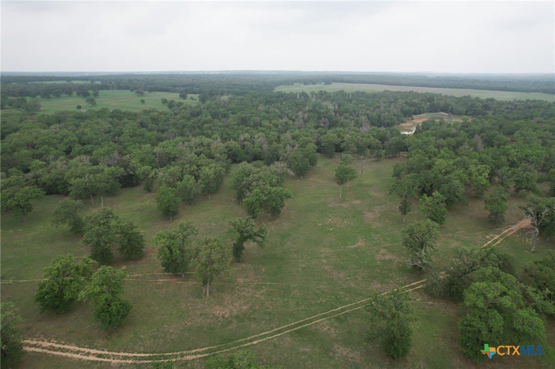 169.72 acres in Milam County - photo 11