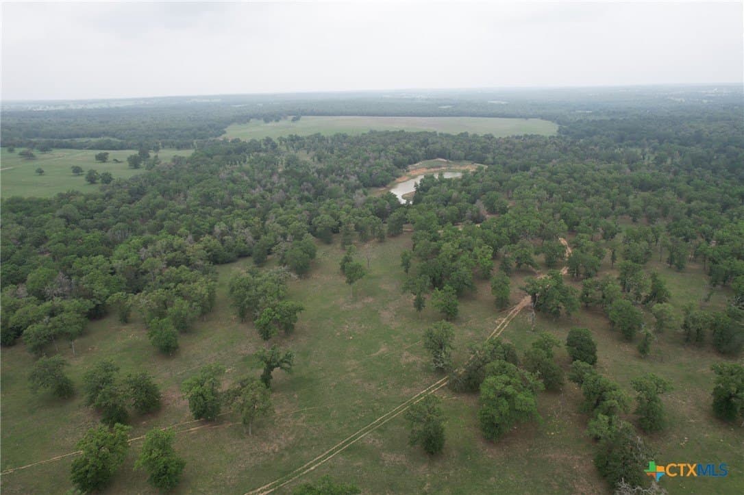 169.72 acres in Milam County gallery image 3