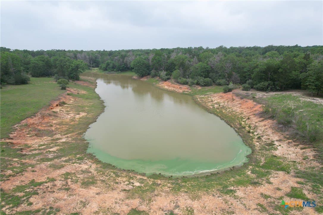 169.72 acres in Milam County - photo 8