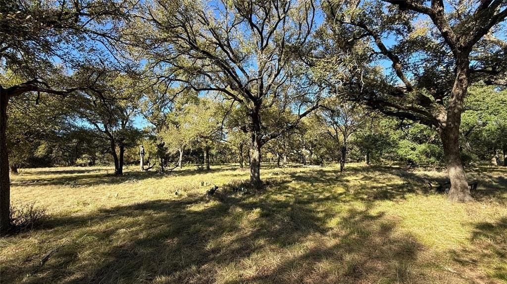 55.1 acres in Bosque County gallery image 4