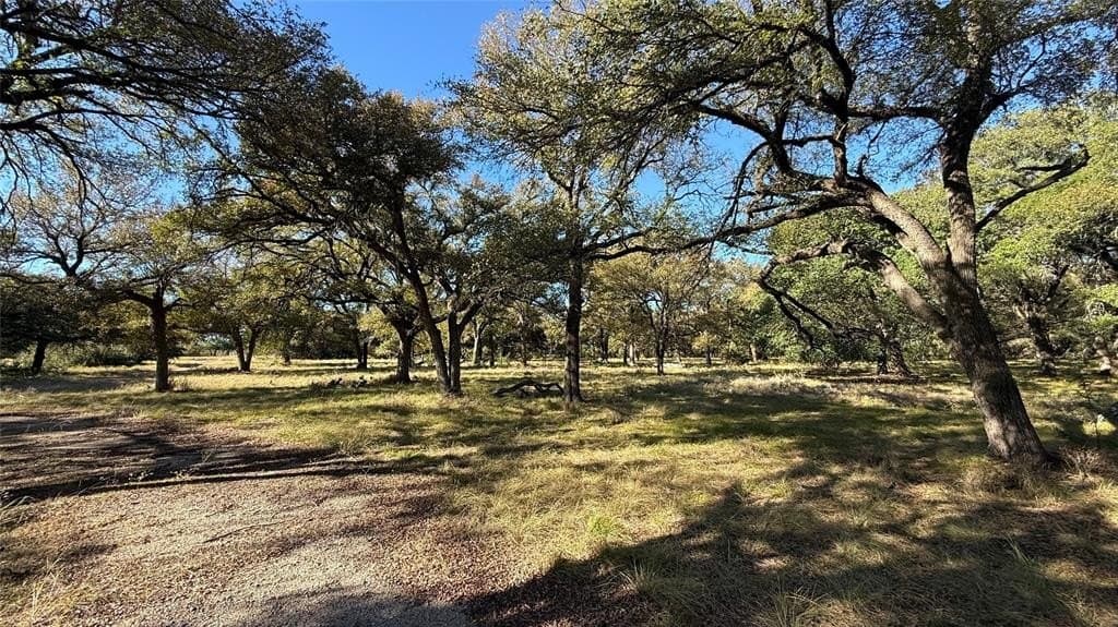 55.1 acres in Bosque County gallery image 3
