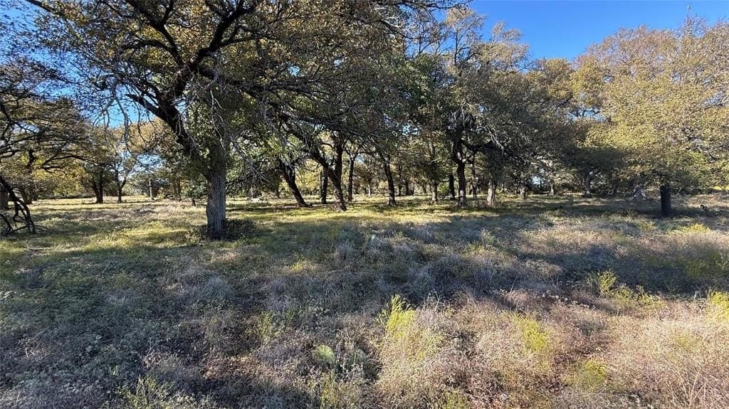 55.1 acres in Bosque County featured view