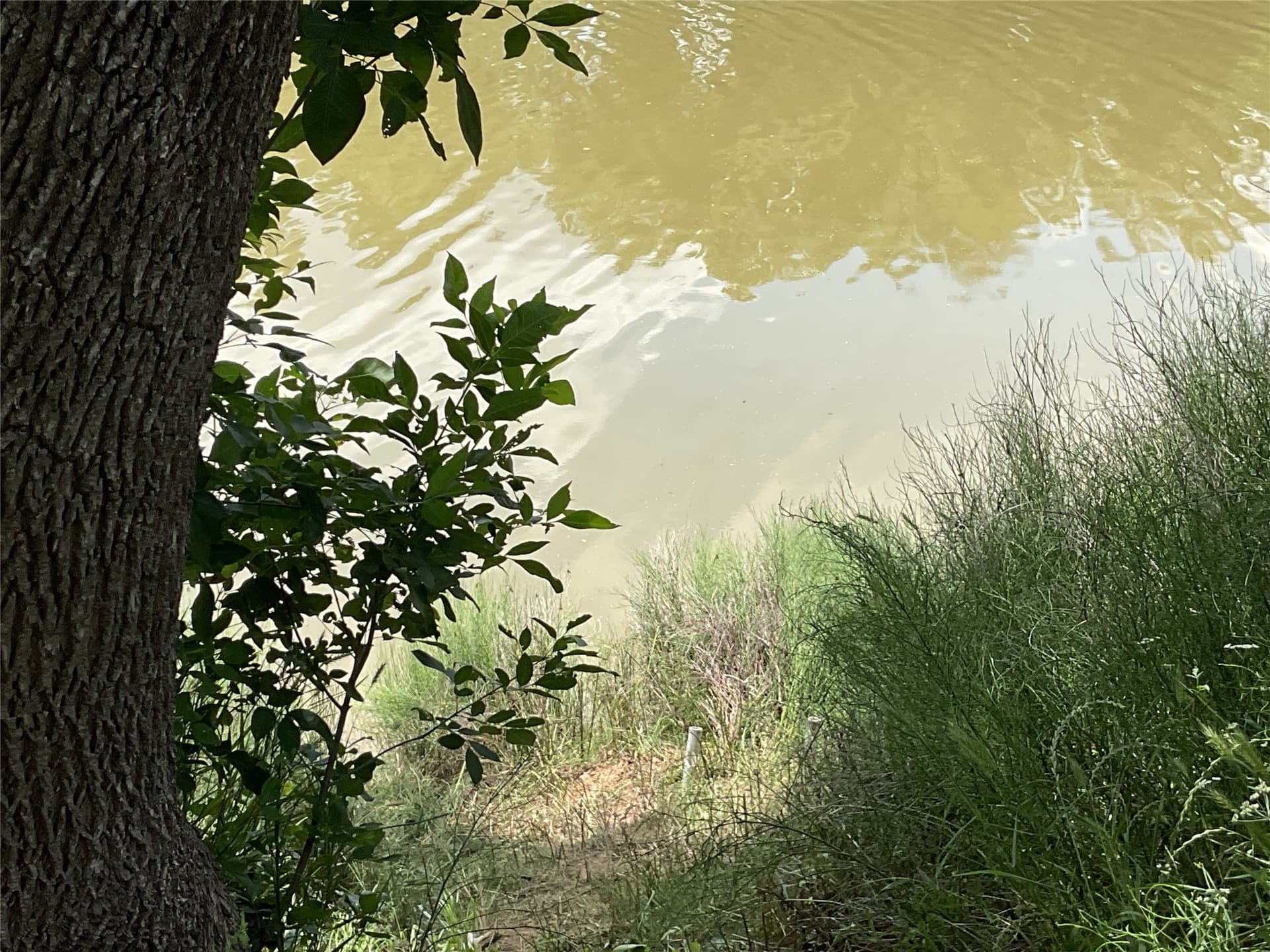 0.11 acres in Parker County - photo 18