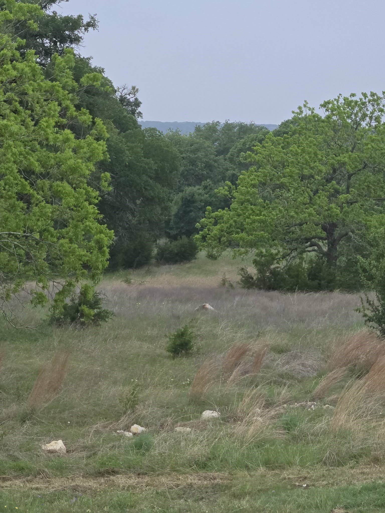 5 acres in Coryell County - photo 6