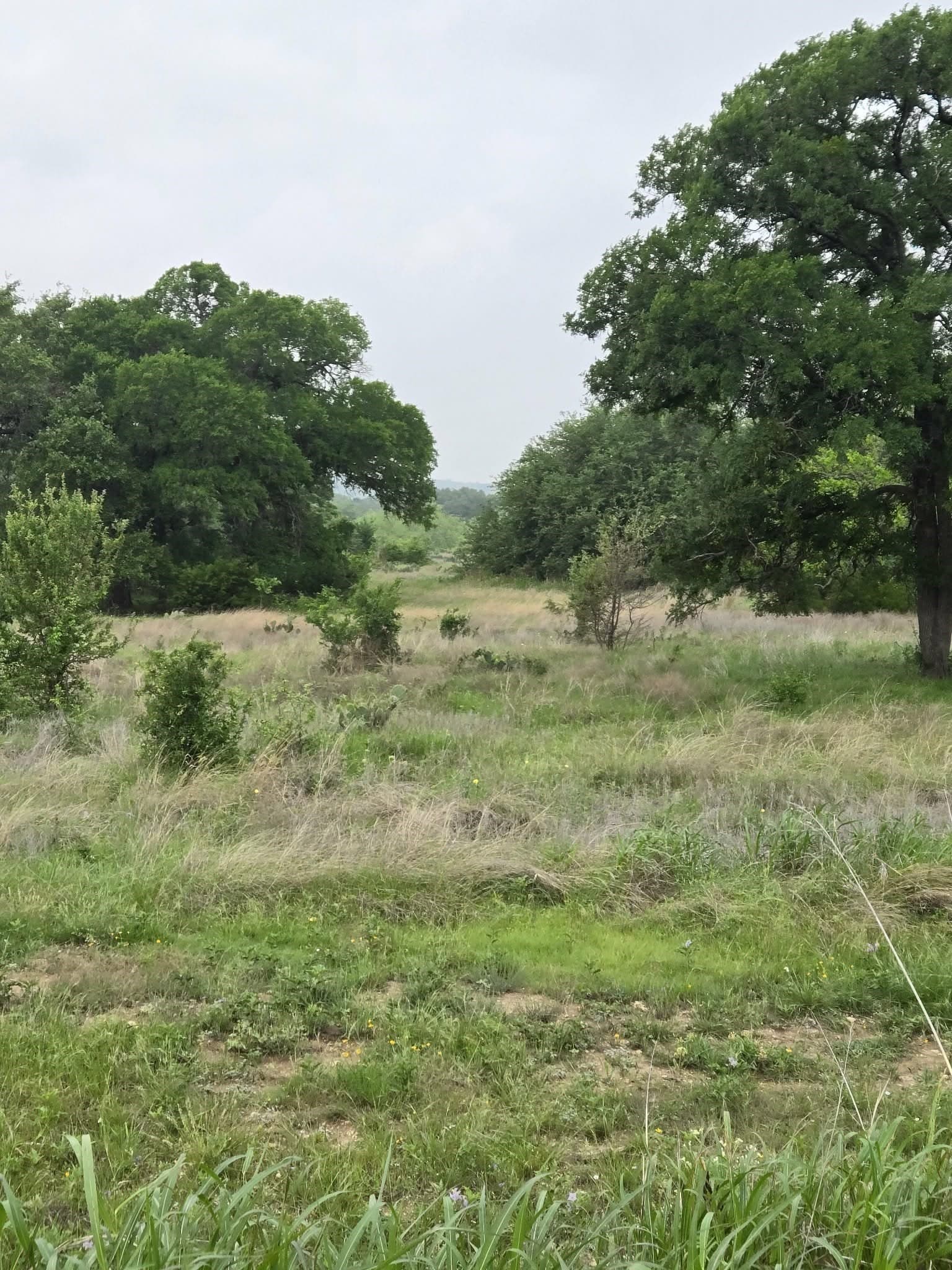 5 acres in Coryell County