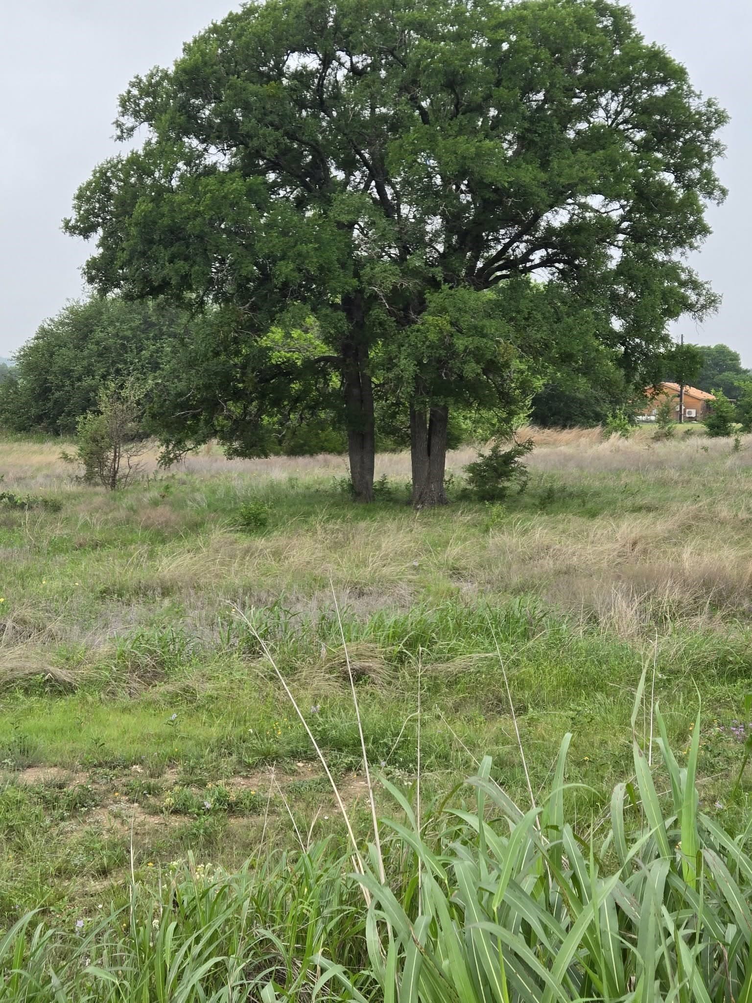 5 acres in Coryell County - photo 2