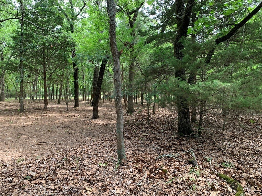 6.66 acres in Henderson County - photo 13