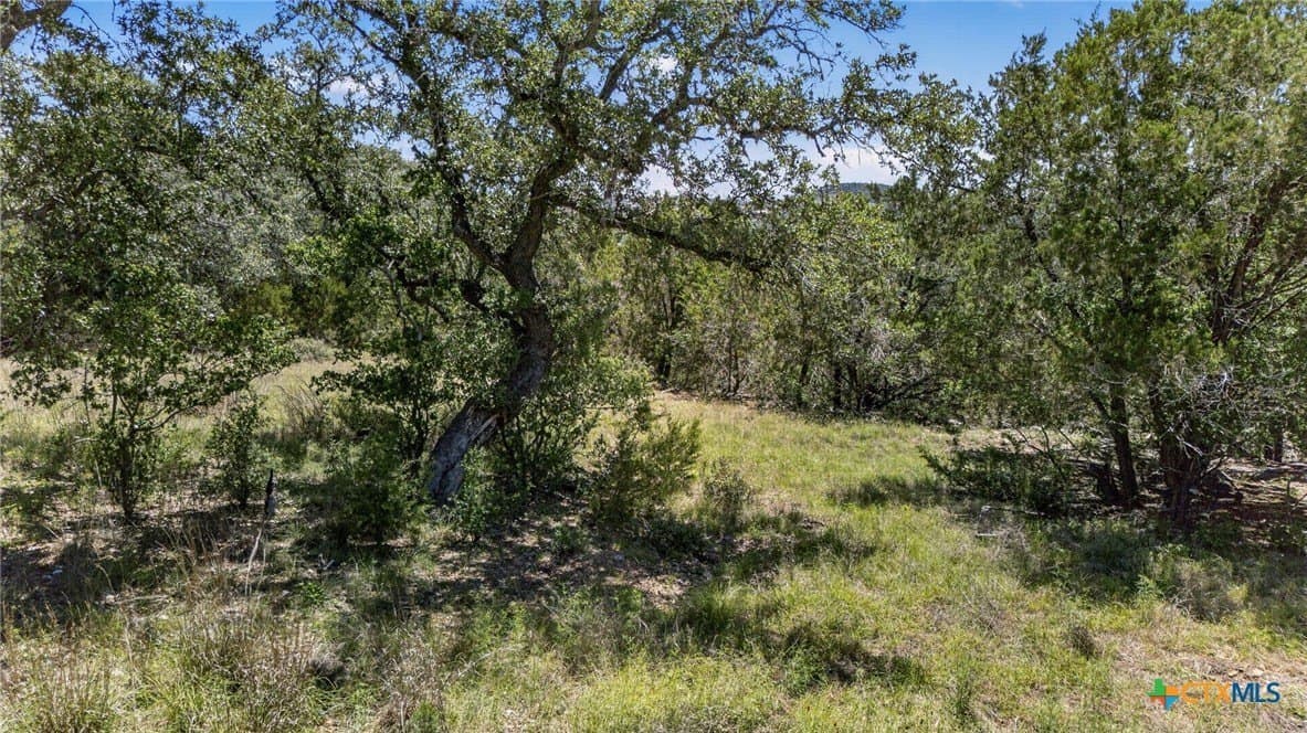 1.01 acres in Comal County - photo 2