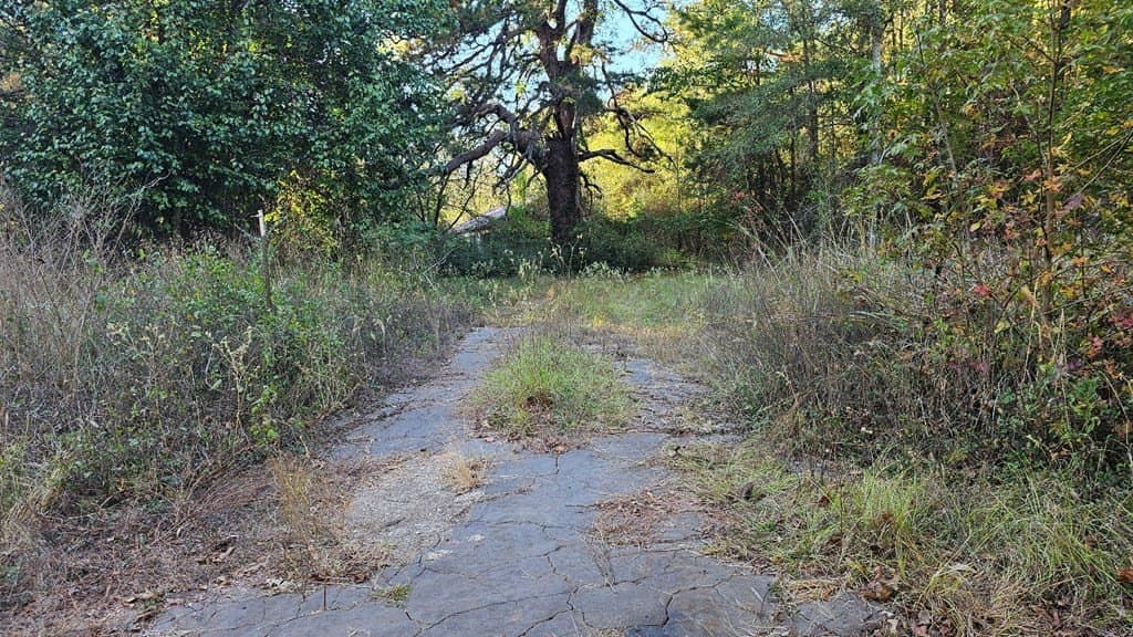 4.72 acres in Texas County gallery image 4