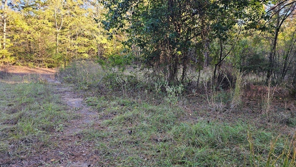 4.72 acres in Texas County gallery image 3