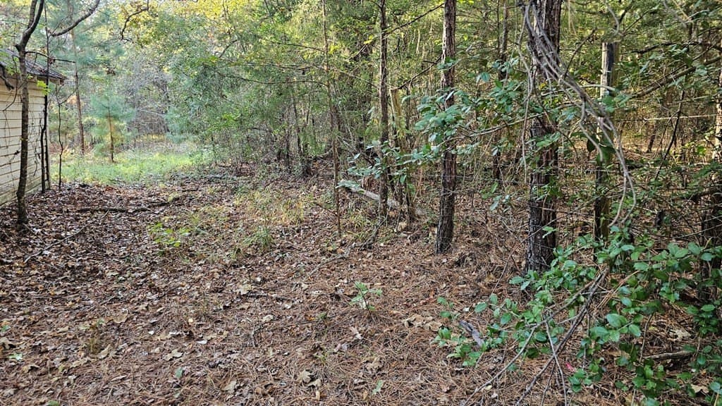 4.72 acres in Texas County featured view