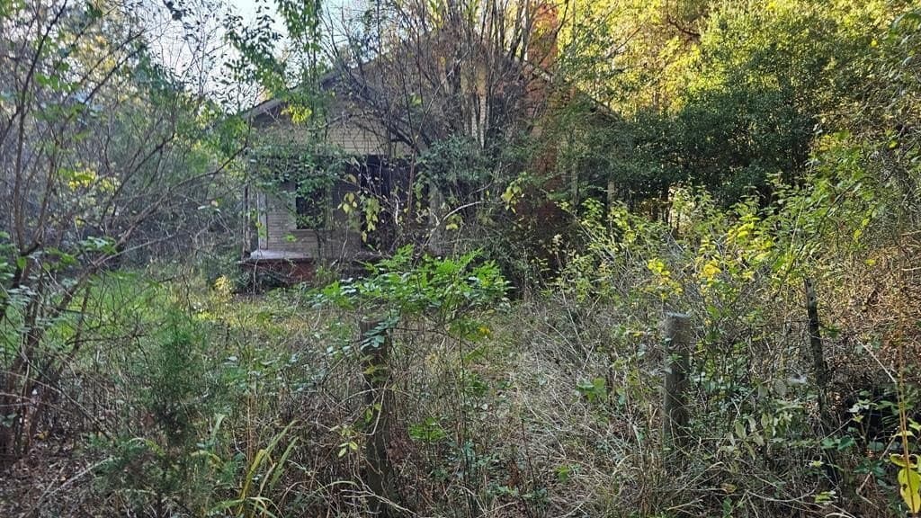 4.72 acres in Texas County gallery image 2