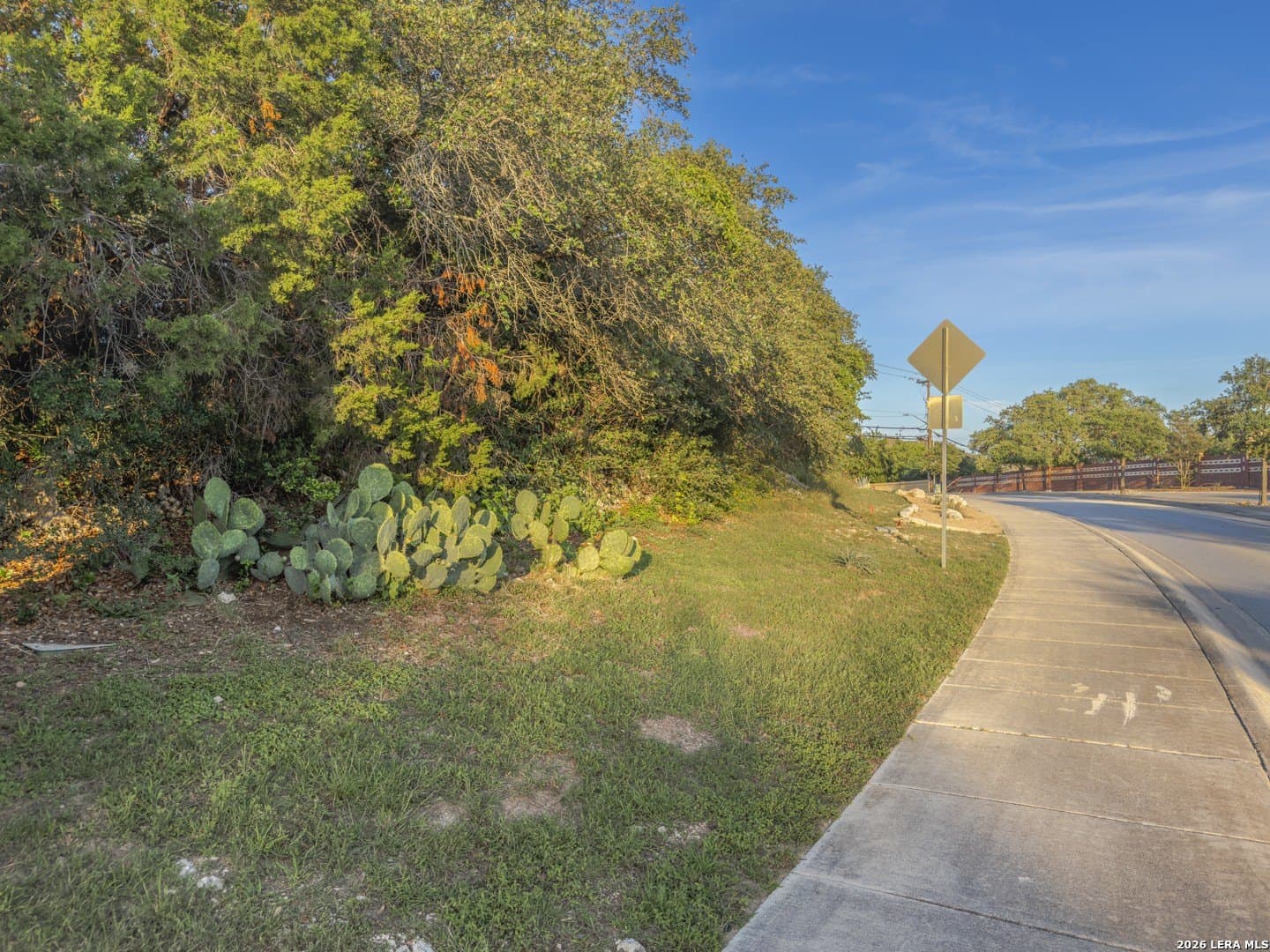 0.26 acres in Bexar County - photo 16