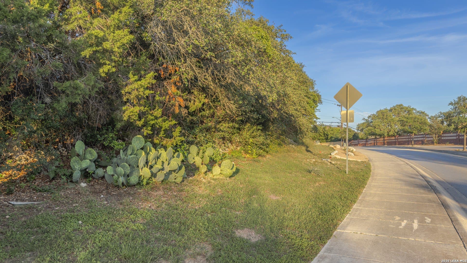 0.26 acres in Bexar County - photo 31