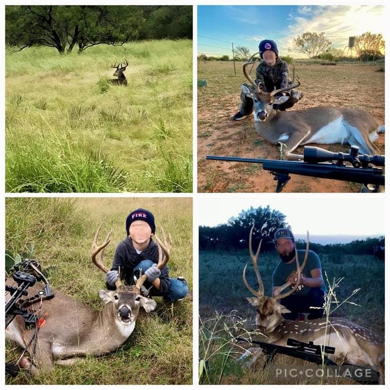 56.88 acres in Mason County gallery image 3