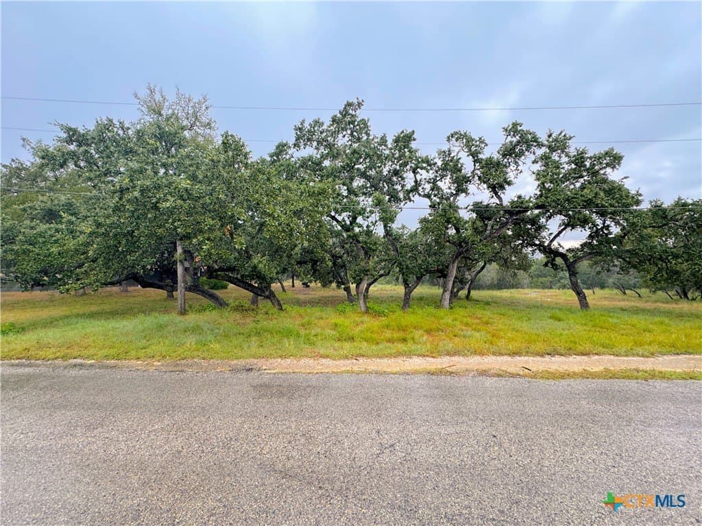 0.26 acres in Comal County gallery image 3