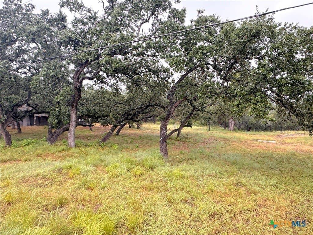 0.26 acres in Comal County gallery image 4