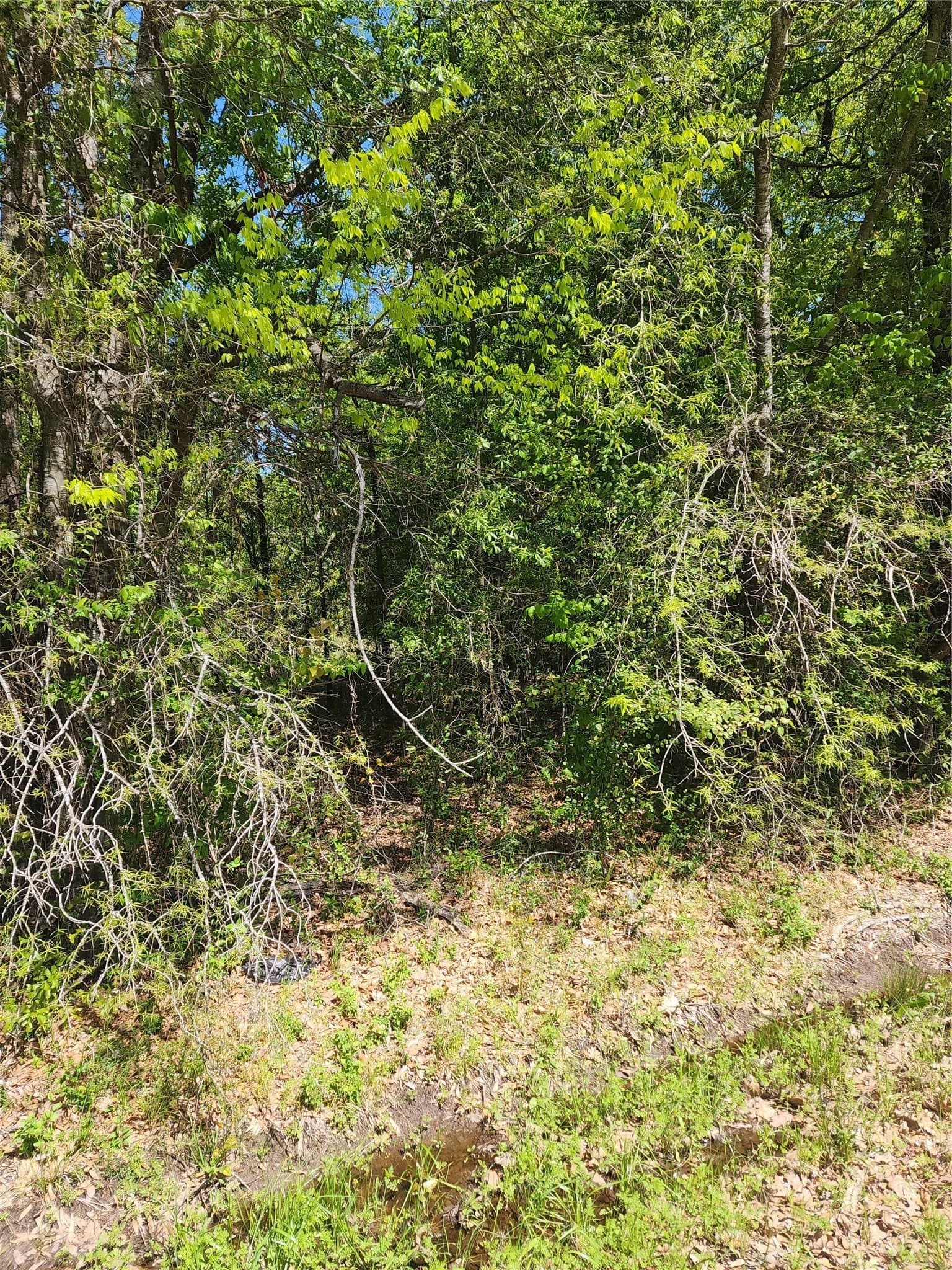 0.48 acres in Henderson County