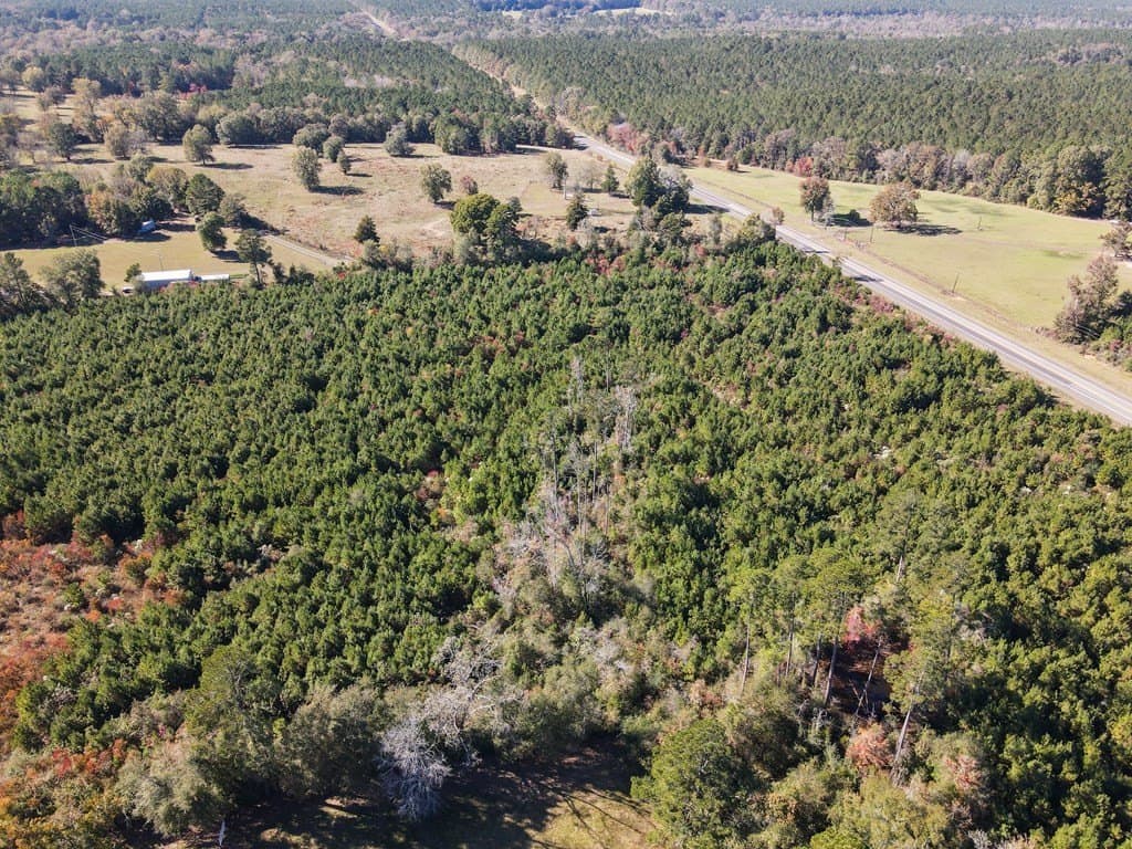 25.25 acres in Texas County gallery image 3
