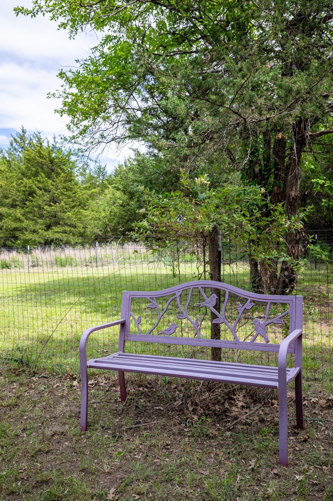 10.64 acres in Collin County - photo 23