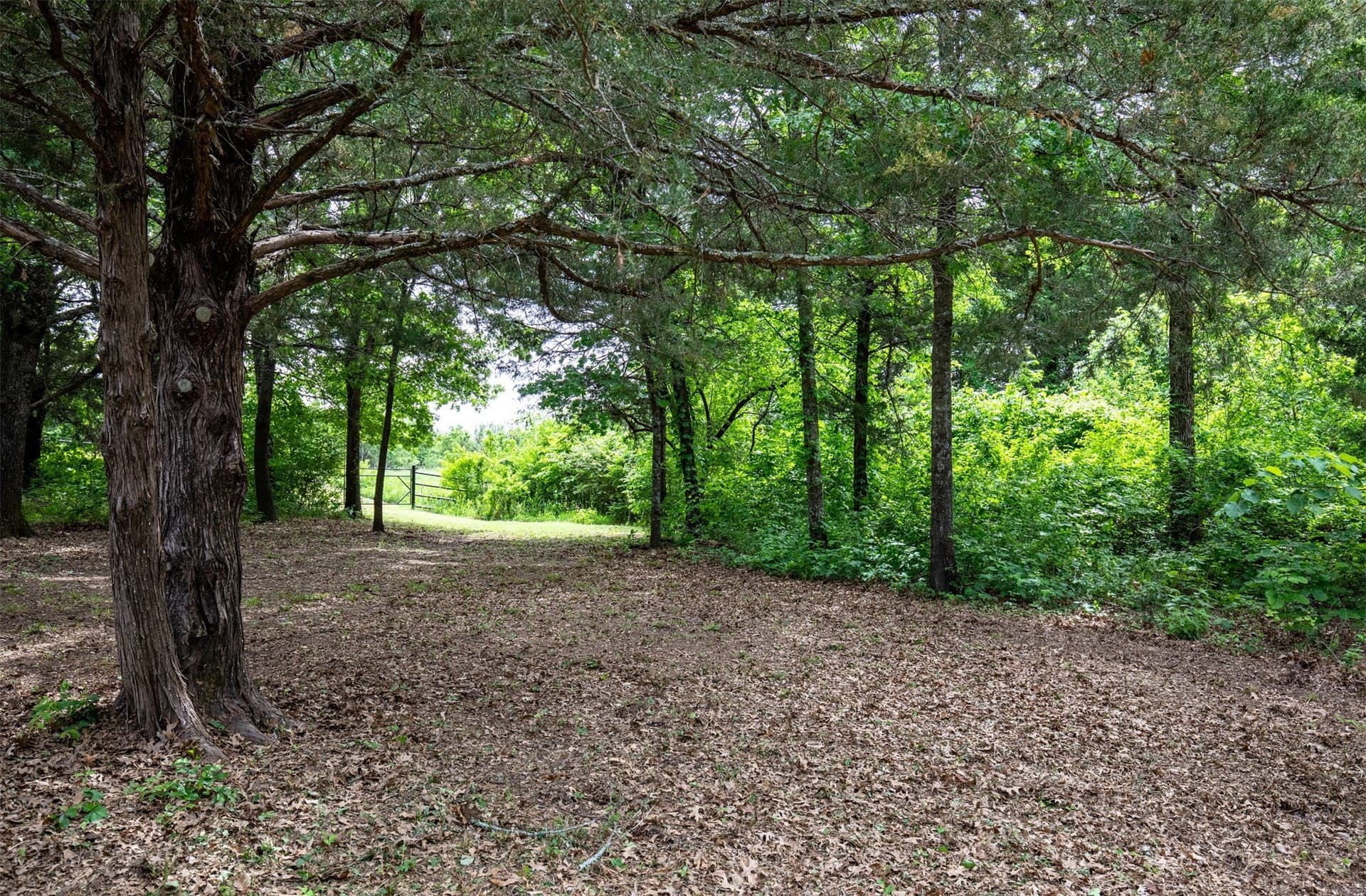 10.64 acres in Collin County - photo 13