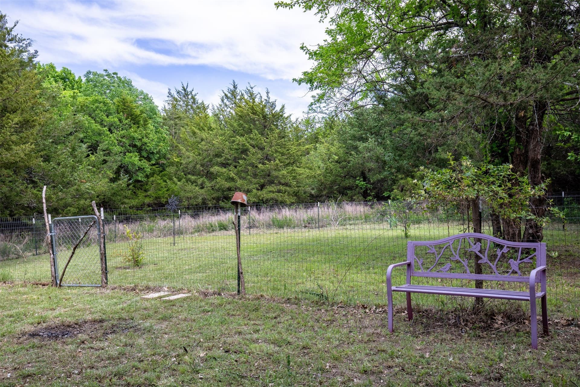 10.64 acres in Collin County - photo 15