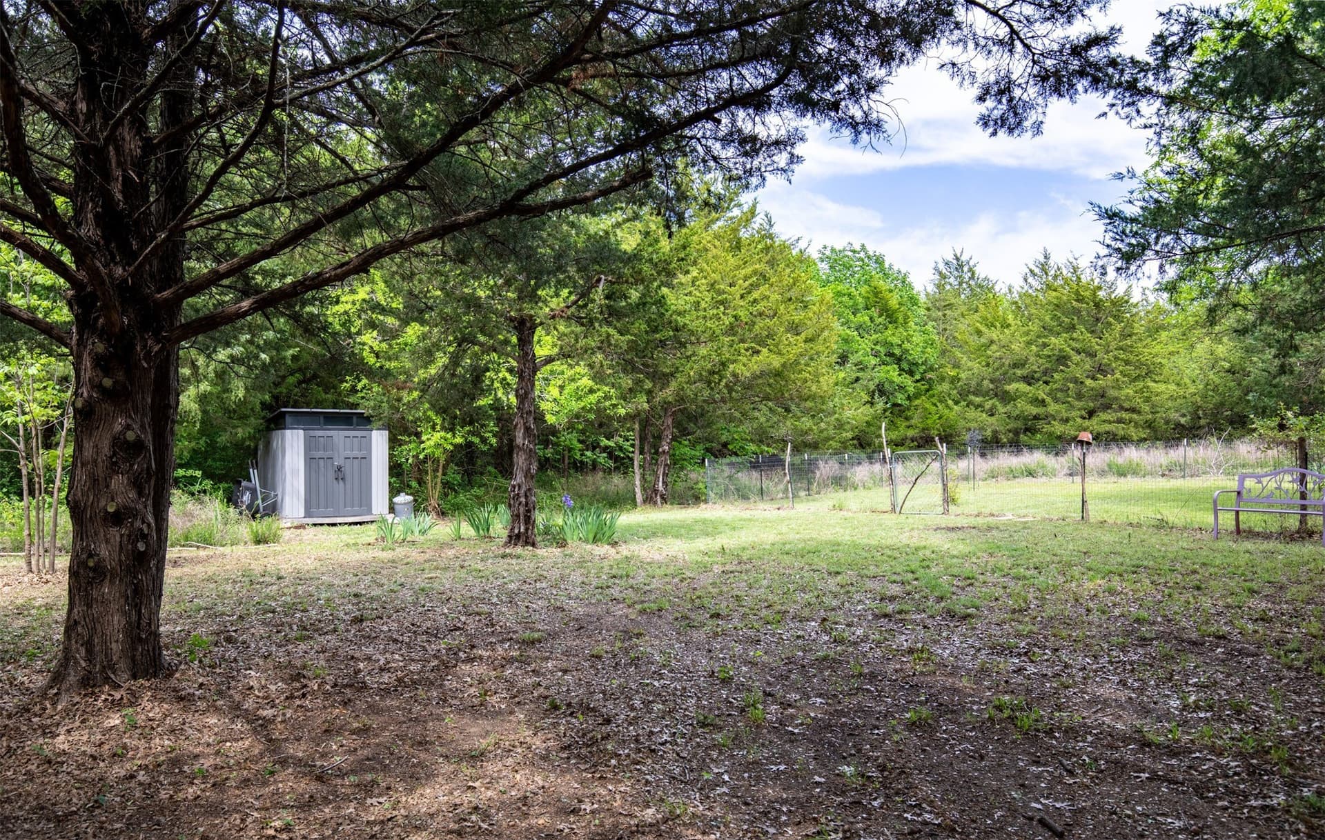 10.64 acres in Collin County - photo 14