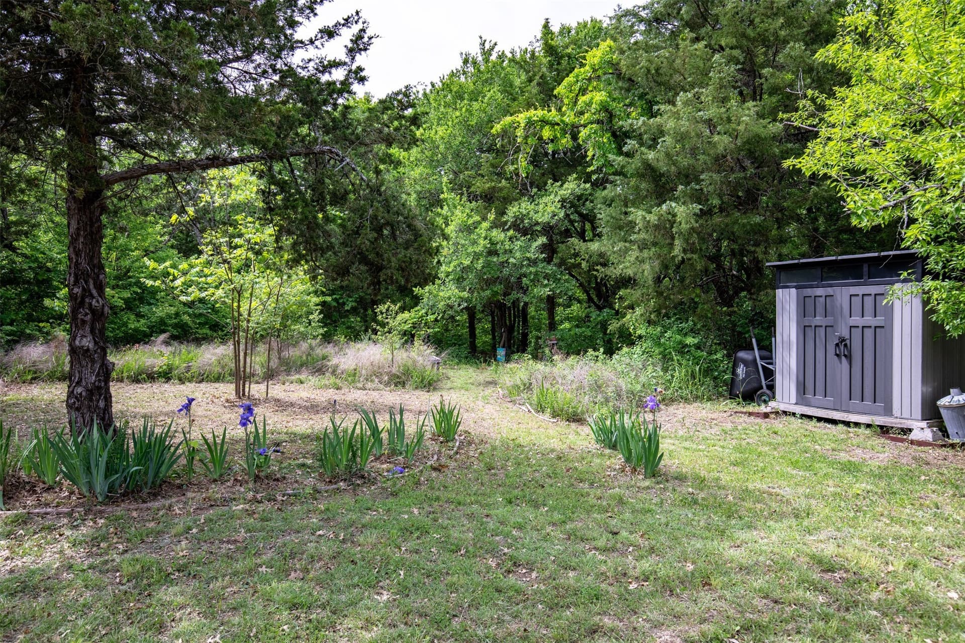 10.64 acres in Collin County - photo 24