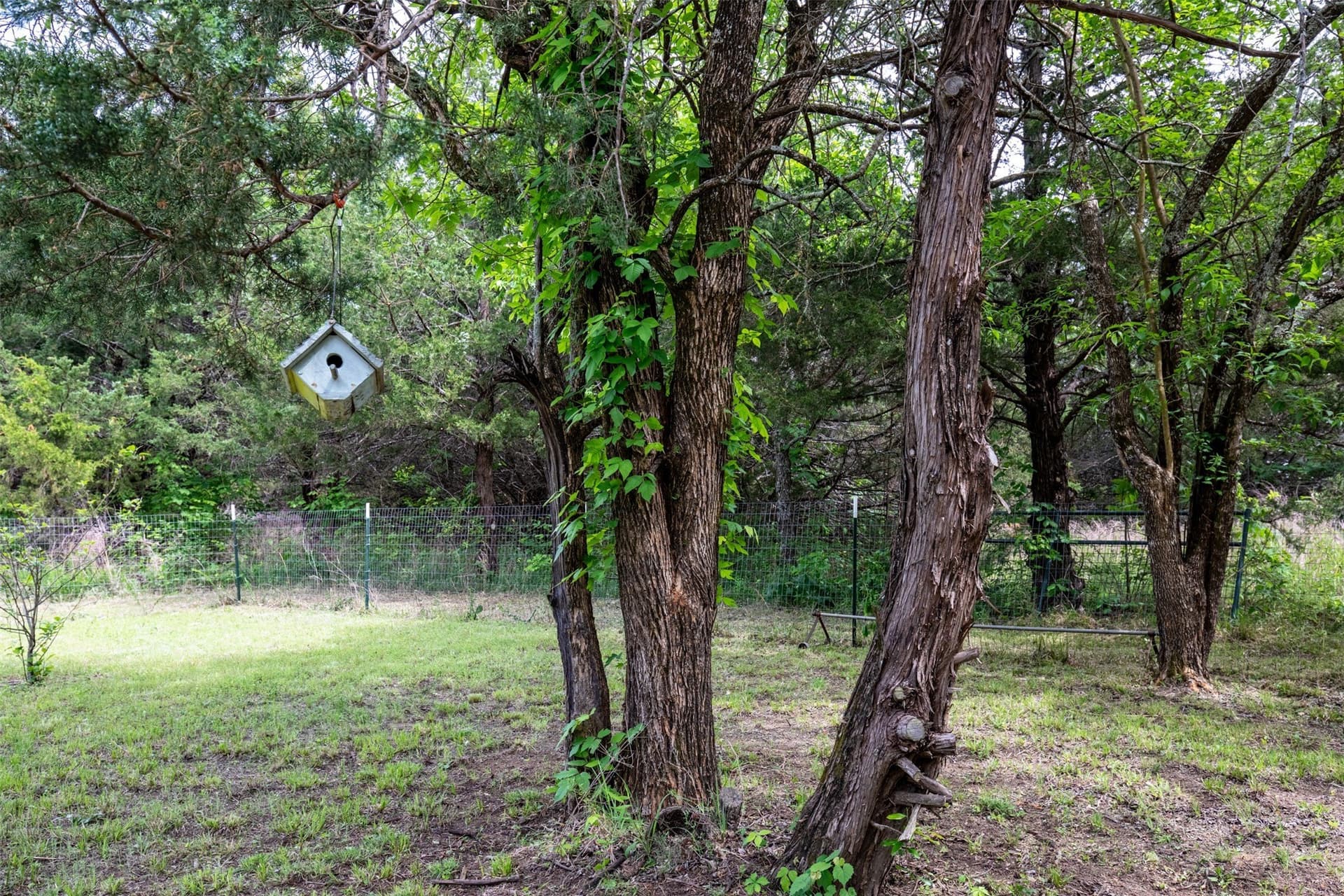 10.64 acres in Collin County - photo 22