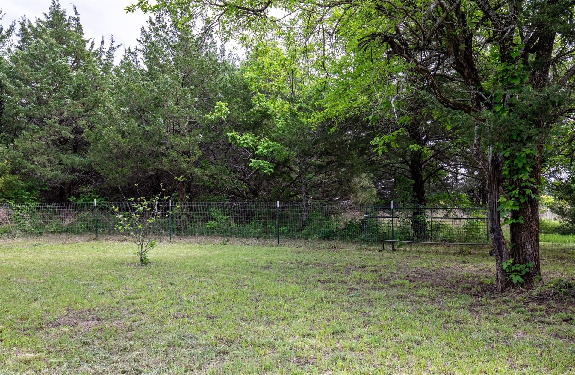 10.64 acres in Collin County - photo 16