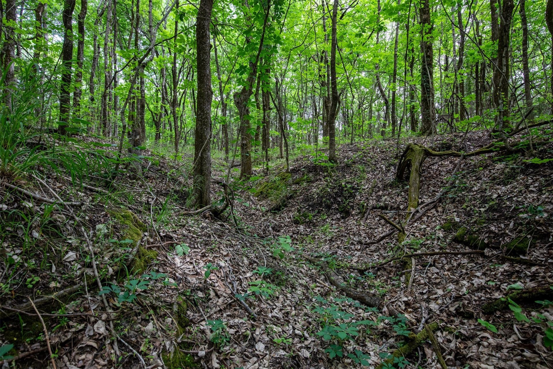 10.64 acres in Collin County - photo 28