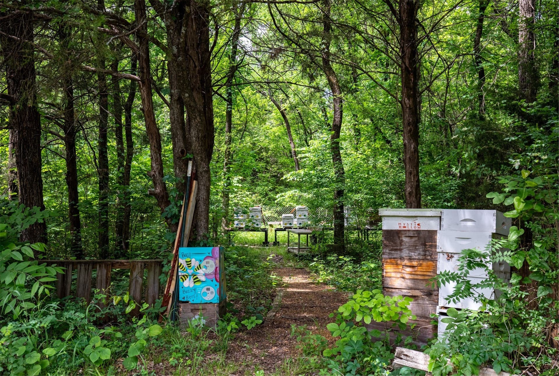 10.64 acres in Collin County - photo 21