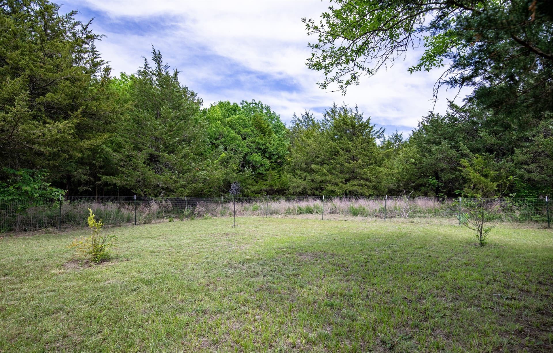 10.64 acres in Collin County - photo 18