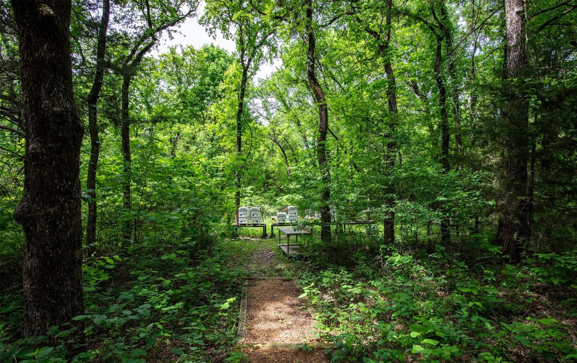 10.64 acres in Collin County - photo 27