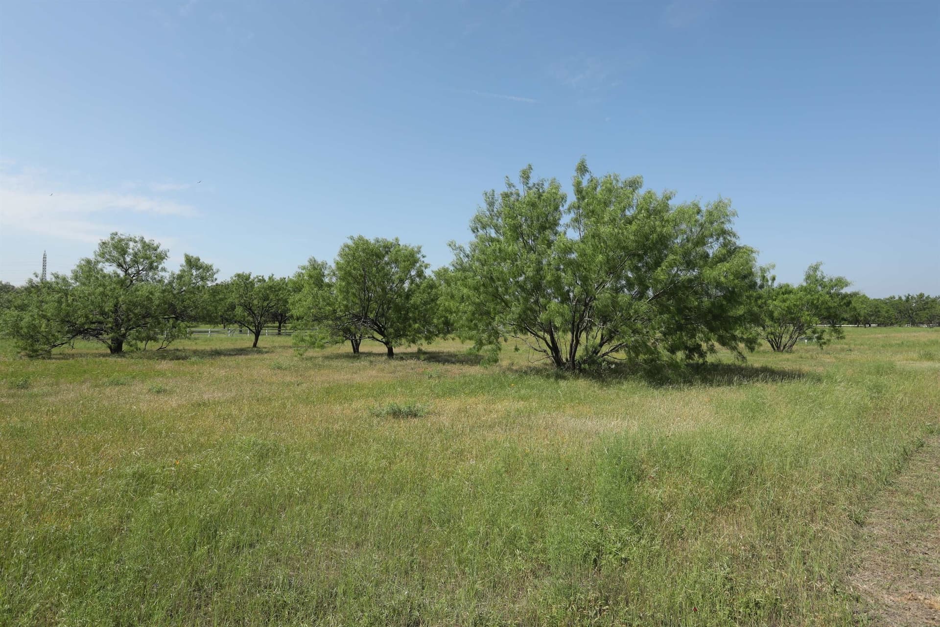 0.99 acres in Llano County gallery image 3