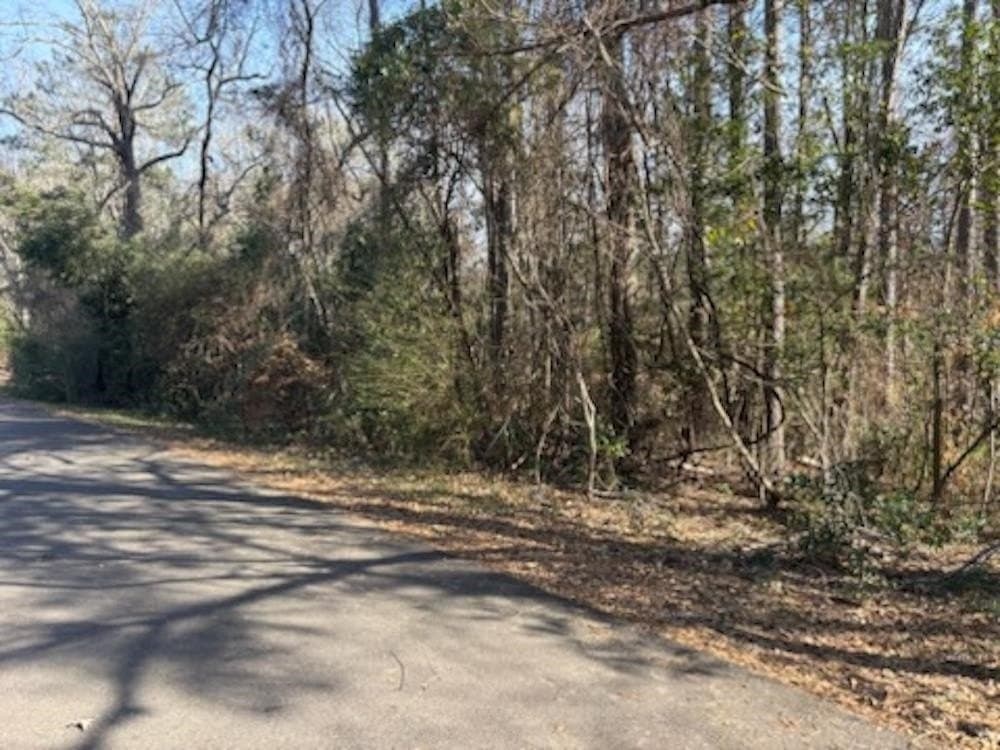 0.74 acres in Texas County gallery image 4